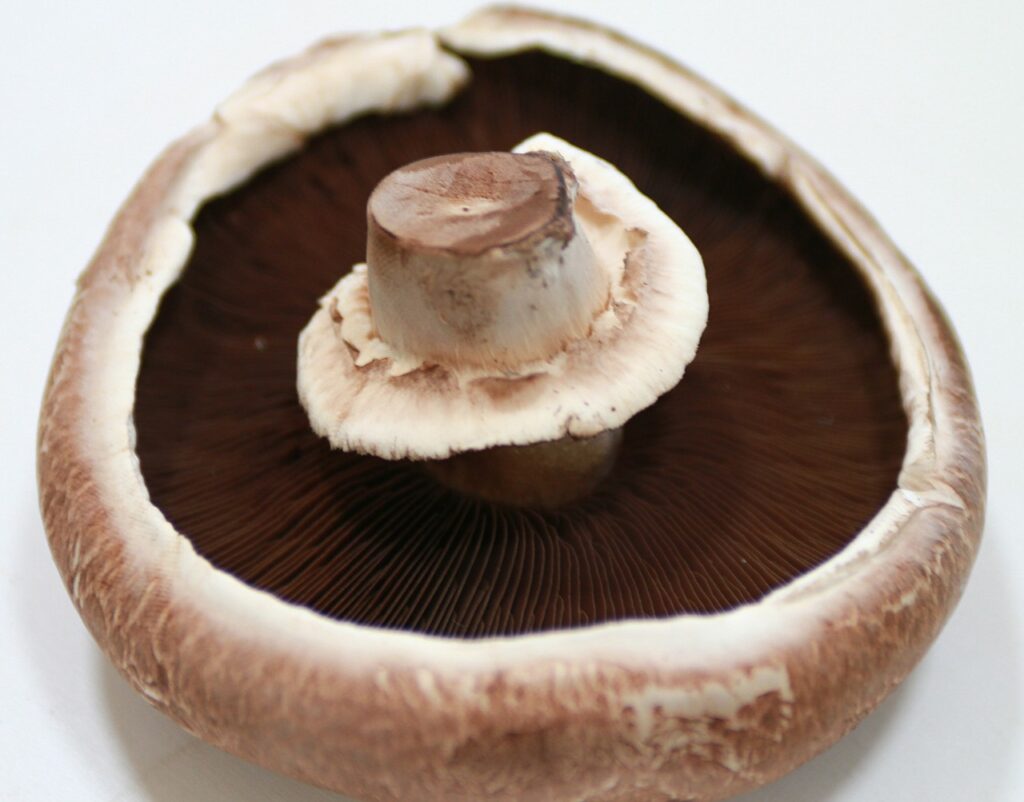 Portabella mushrooms used for vegan jerky